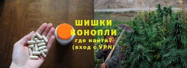 бошки Покачи