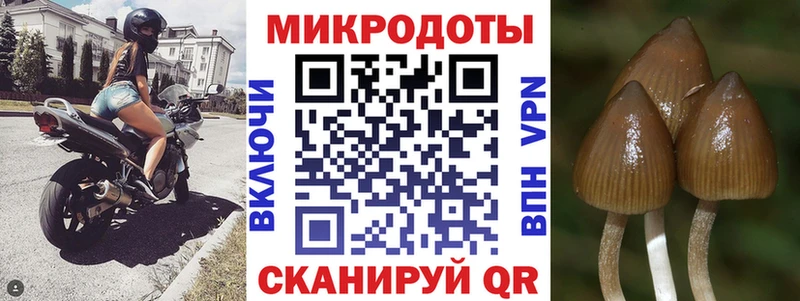 Псилоцибиновые грибы Magic Shrooms ОМГ ОМГ зеркало Ивдель