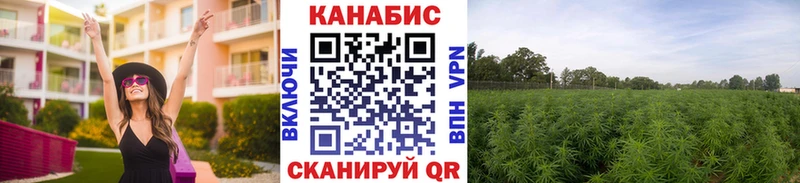 Шишки марихуана Amnesia  Ивдель 
